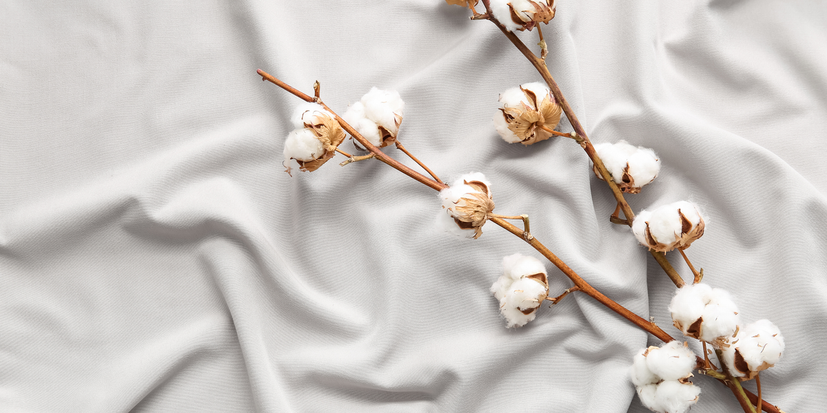 Cotton Blankets