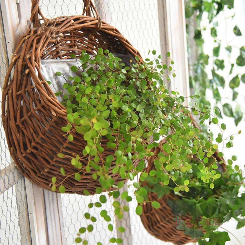 WillowNest Basket - Hanging Storage Basket - Rustic Style - Natural Decor