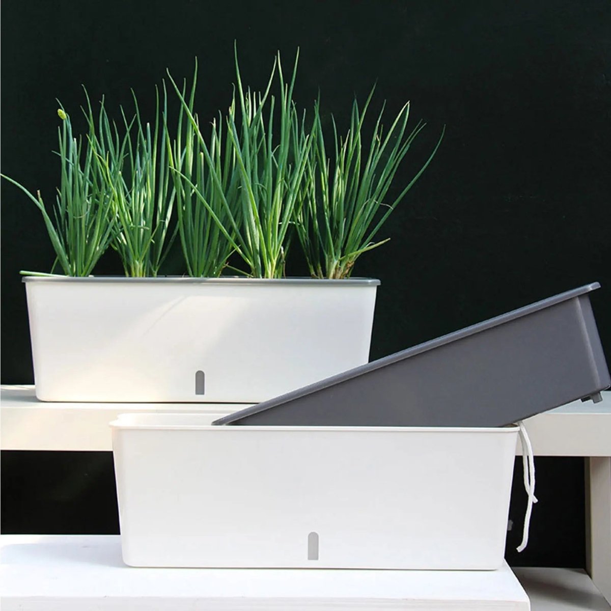 GreenFlow – Self-Watering Planter Box – Smart Indoor Herb Garden