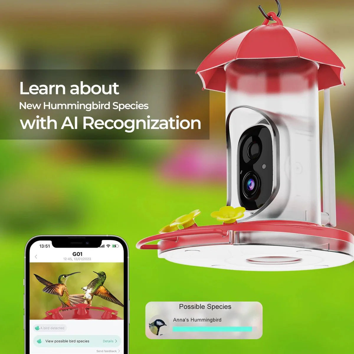 SkyFeeder Cam – Smart Bird Feeder with Camera – Outdoor Observation Station