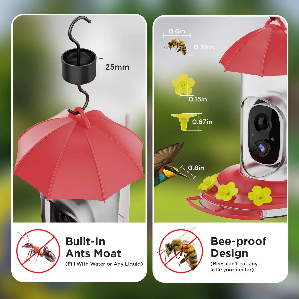 SkyFeeder Cam – Smart Bird Feeder with Camera – Outdoor Observation Station
