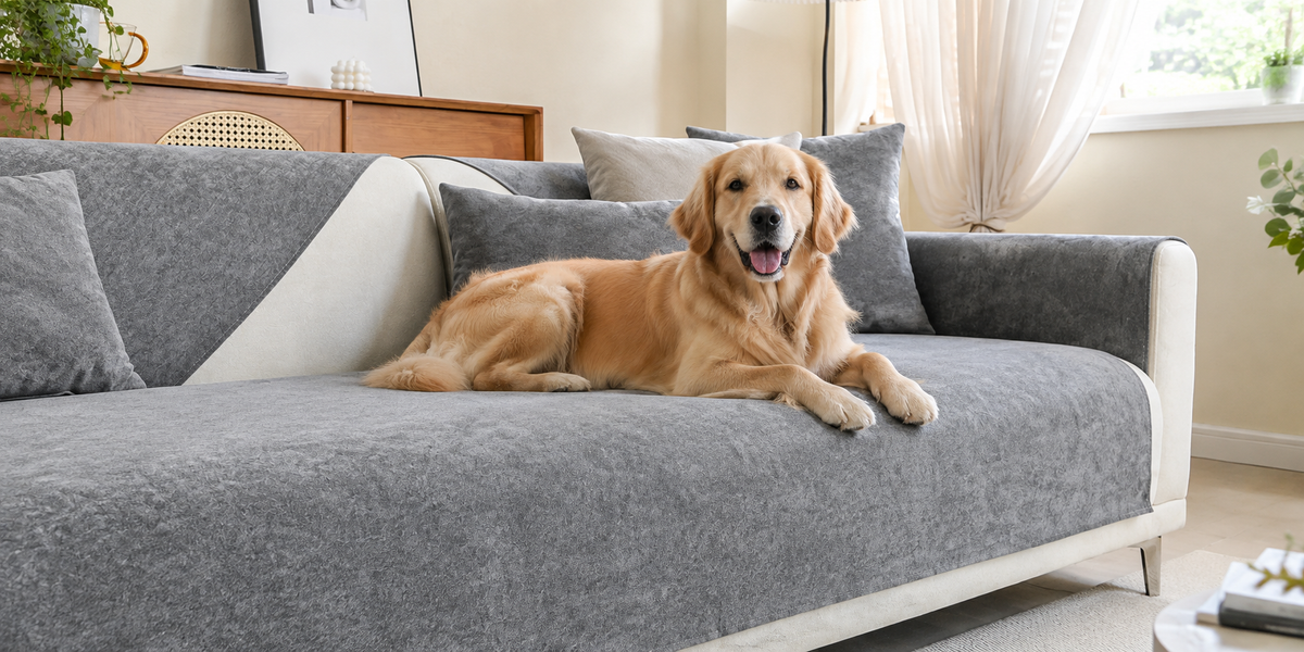 Sofa Covers: Your Sofa. Pet-Proof & Stylish.