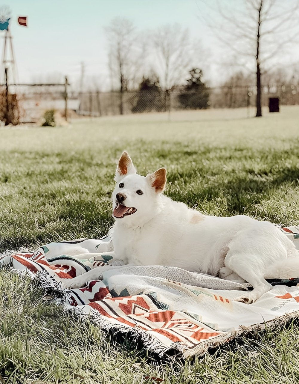 NomadWeave Blanket - Picnic Mat - Boho Style - Reversible Design Comfort