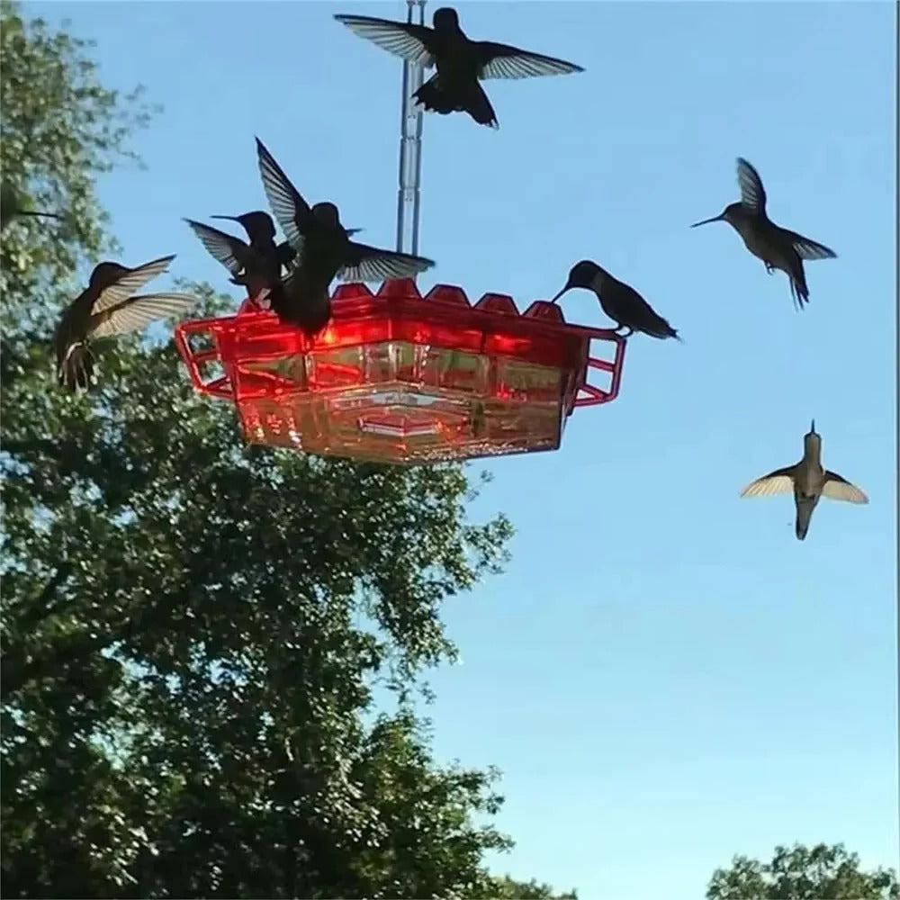 Avent Hummingbird Feeder - UV-Resistant, Ant-Proof Design 8
