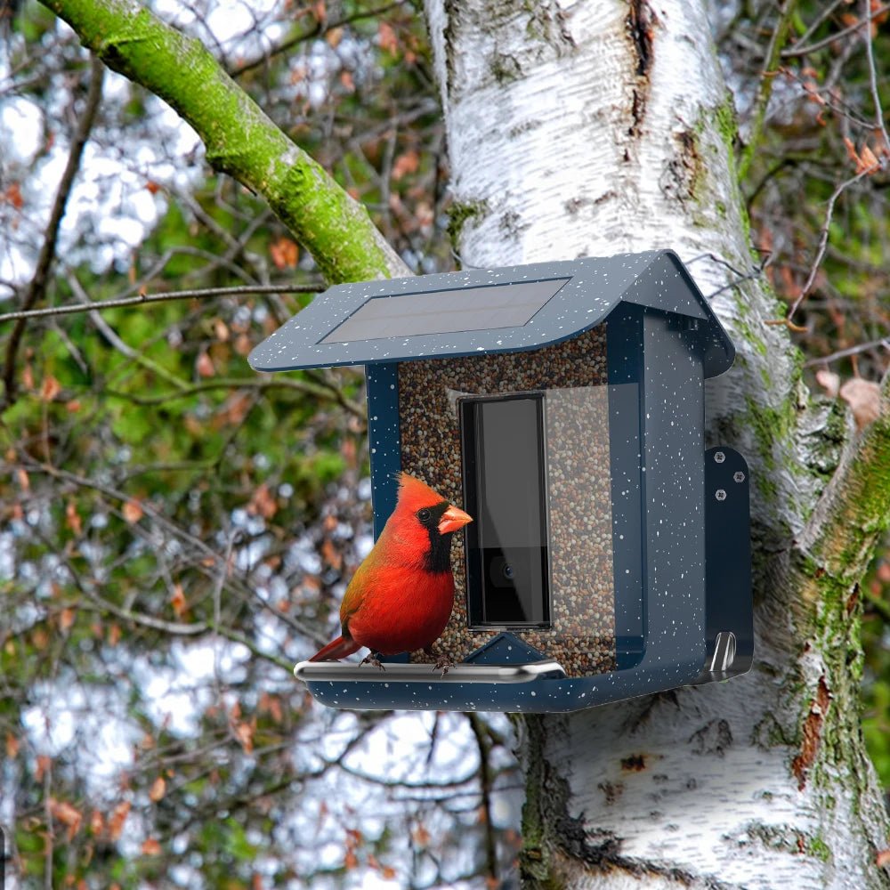 BirdWatch Pro - Smart Bird Feeder - Outdoor Style - Camera View