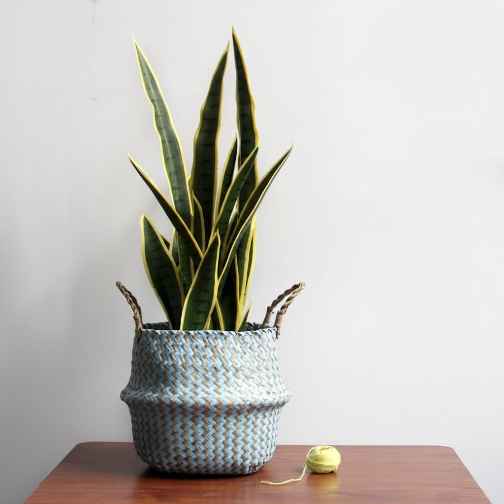 NordicNest Fold – Woven Plant Basket – Boho Storag  Decor Piece