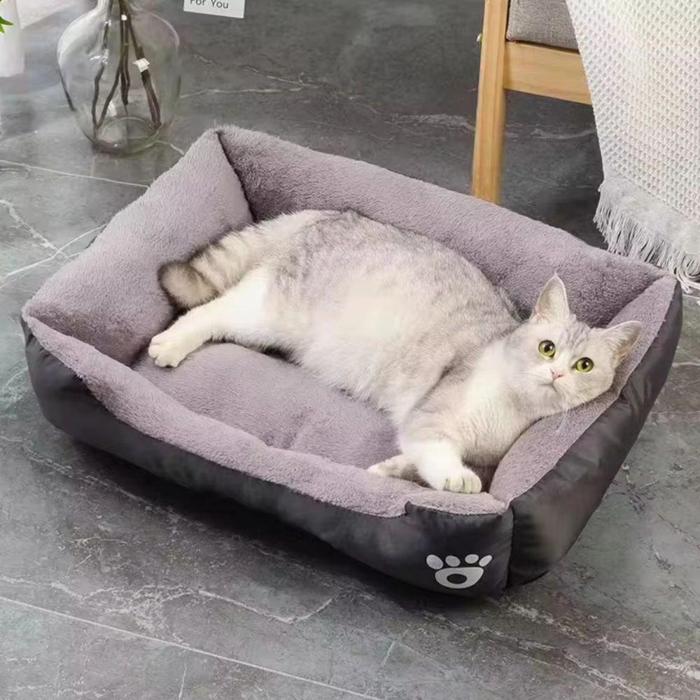 Fiora Dog Bed - Soft Microfiber, Supportive Comfort for Pets 2